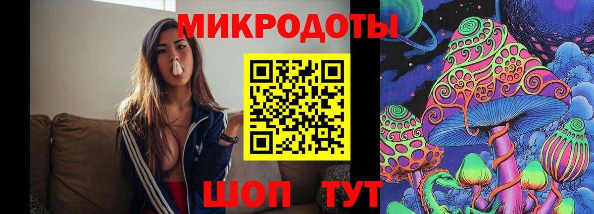 Галлюциногенные грибы Psilocybine cubensis Калининград