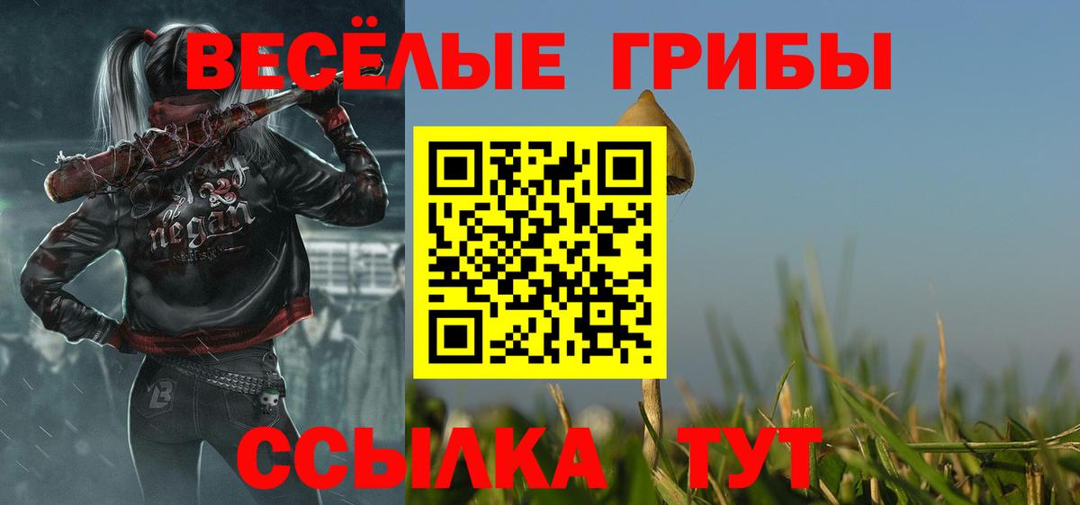 Калининград  Галлюциногенные грибы мухоморы  Вход с VPN 